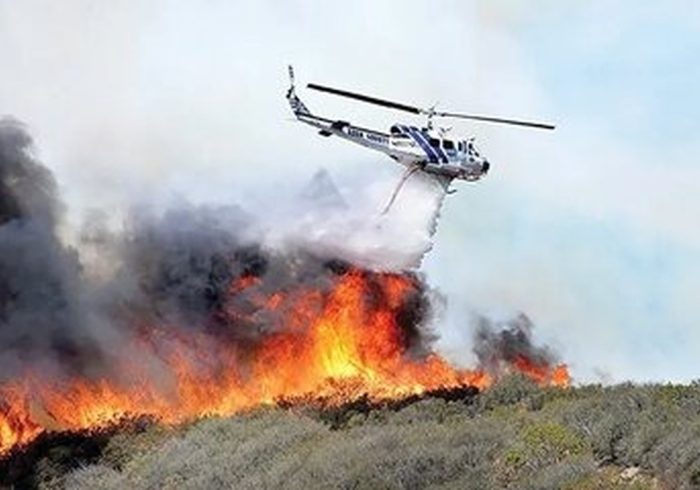 ماهواره خیام مقابل فاجعه جنگل‌های الیت ایستاد