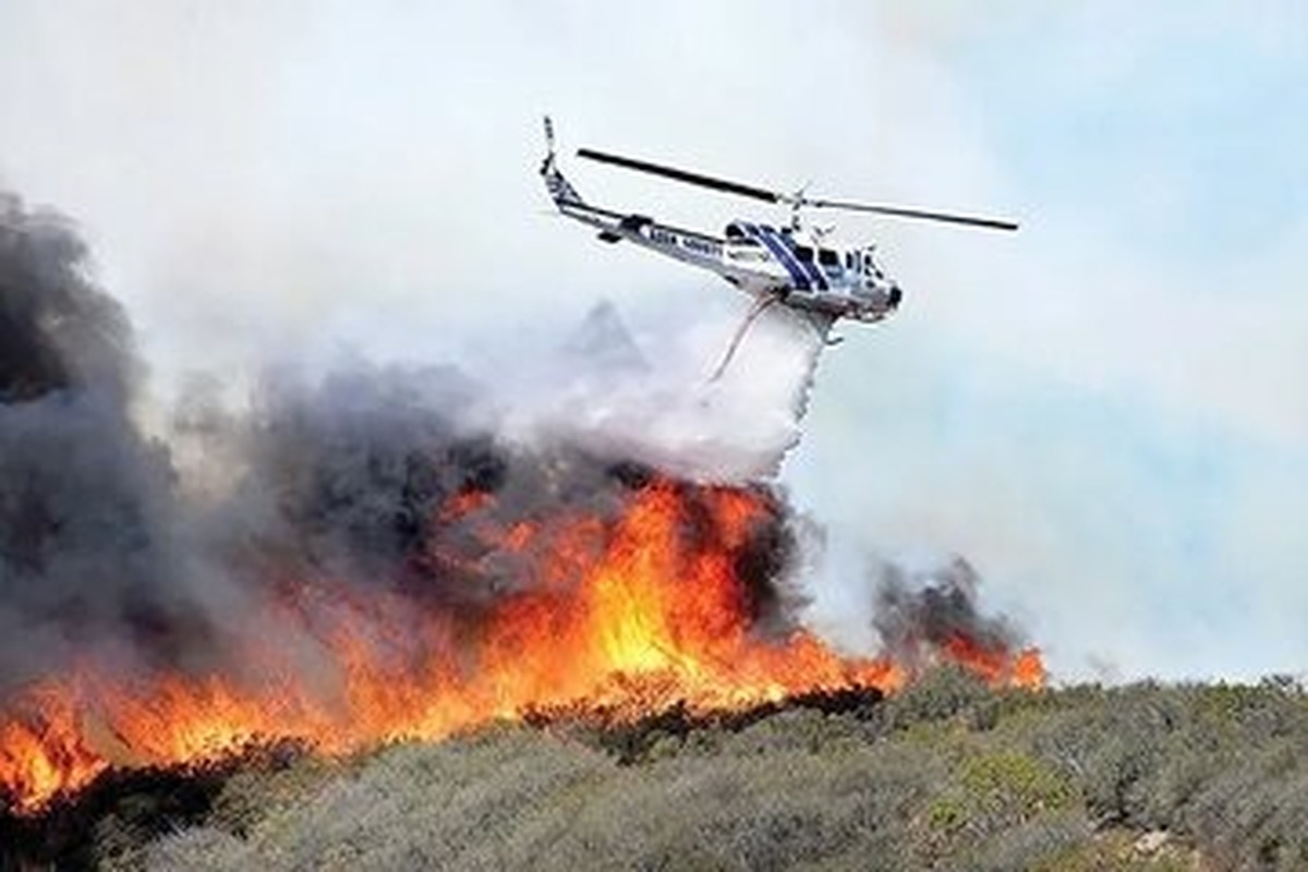 ماهواره خیام مقابل فاجعه جنگل‌های الیت ایستاد