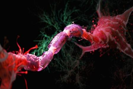 مغز،اخبار پزشکی،خبرهای پزشکی مغز،اخبار پزشکی،خبرهای پزشکی