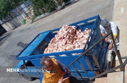 محمدپور: ۱۵ تن فرآورده دامی غیربهداشتی در سردشت کشف شد محمدپور: ۱۵ تن فرآورده دامی غیربهداشتی در سردشت کشف شد