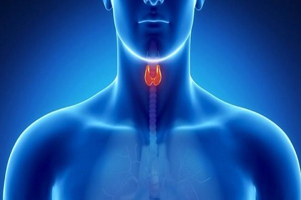 مراقب خرابی «پدال گاز» بدن باشید