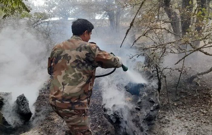 مرزبانی: مهار حریق ۱.۵ هکتار از اراضی تالش‌ محله شفت؛ پایش ادامه دارد