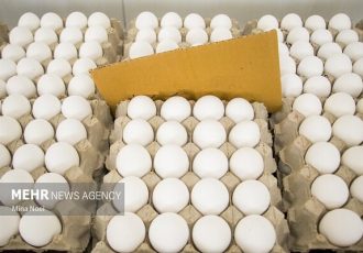 معضل کمبود نهاده دامی همچنان پابرجاست