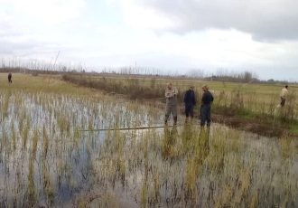 ممنوعیت شکار پرندگان وحشی در گیلان؛ ۴۲ رشته دام هوایی جمع آوری شد ممنوعیت شکار پرندگان وحشی در گیلان؛ ۴۲ رشته دام هوایی جمع آوری شد