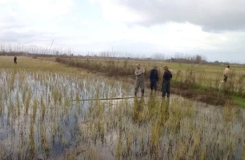 ممنوعیت شکار پرندگان وحشی در گیلان؛ ۴۲ رشته دام هوایی جمع آوری شد ممنوعیت شکار پرندگان وحشی در گیلان؛ ۴۲ رشته دام هوایی جمع آوری شد