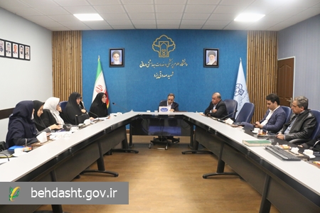 نشست کمیته سلامت مادر و نوزاد برگزار شد