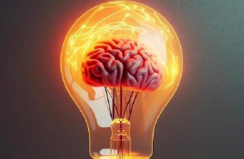 نوروساینس عاطفی (Affective Neuroscience) چیست ؟