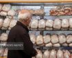 نوسانات بازار مرغ و گوشت گلستان زیر سایه کمبود نهاده‌ها