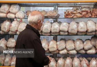 نوسانات بازار مرغ و گوشت گلستان زیر سایه کمبود نهاده‌ها