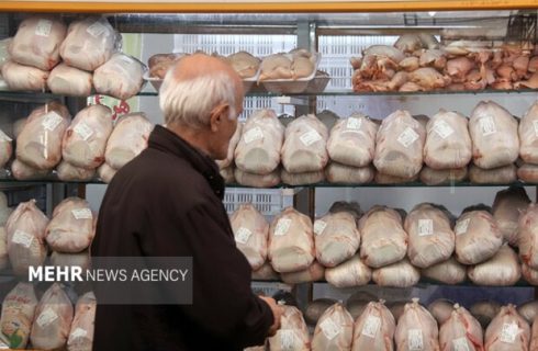 نوسانات بازار مرغ و گوشت گلستان زیر سایه کمبود نهاده‌ها
