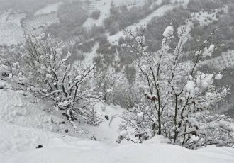 هشدار هواشناسی خراسان جنوبی؛ برف و یخبندان در راه است