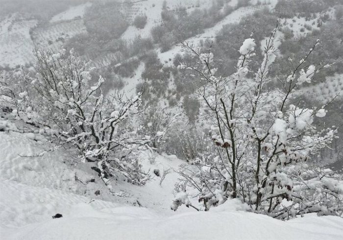 هشدار هواشناسی خراسان جنوبی؛ برف و یخبندان در راه است