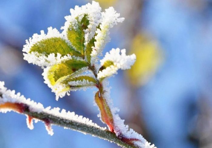 هشدار یخبندان گسترده در ۲۷ استان