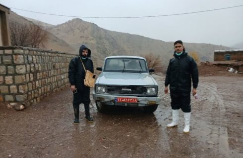 واکسیناسیون دامها در هرسین برای مقابله با تب برفکی واکسیناسیون دامها در هرسین برای مقابله با تب برفکی