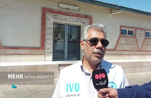 ورود بیش از ۷ میلیون کیلوگرم گوشت قرمز به سیستان و بلوچستان