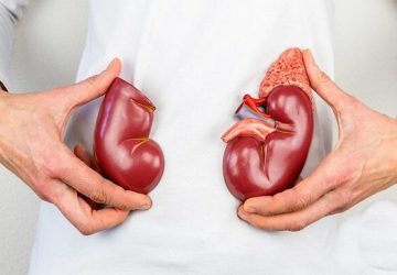 پیشگیری از بیماری‌های کلیوی با چکاپ منظم