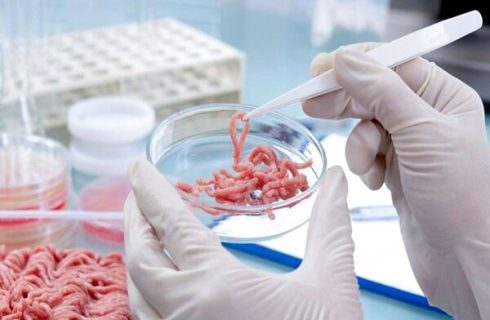 کشف و امحای مقادیر قابل توجه آلایش دامی تاریخگذشته در سنقر و کلیایی کشف و امحای مقادیر قابل توجه آلایش دامی تاریخگذشته در سنقر و کلیایی