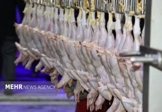 ۲ تن مرغ تاریخ‌گذشته در سردخانه‌های اهواز کشف شد