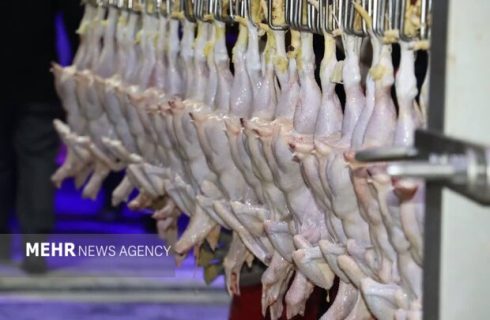 ۲ تن مرغ تاریخ‌گذشته در سردخانه‌های اهواز کشف شد