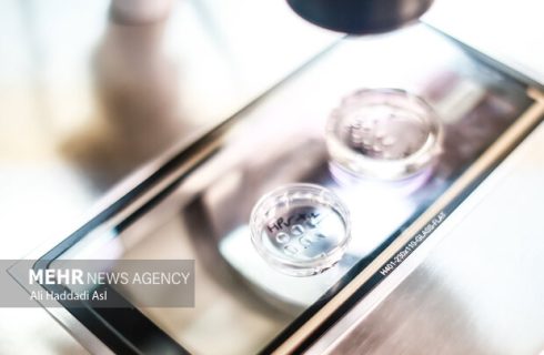 ۲۷۰۰ نفر از زوجین نابارور مازندران در سامانه ثبت نام کردند