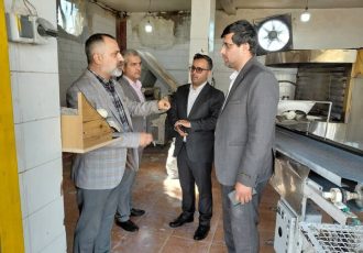 ۵ نانوایی متخلف در عسلویه پلمب شد