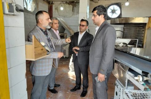 ۵ نانوایی متخلف در عسلویه پلمب شد
