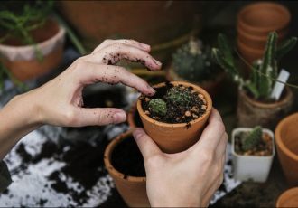 باغبانی، خطر درد زانو و آرتروز را کاهش میدهد باغبانی، خطر درد زانو و آرتروز را کاهش میدهد