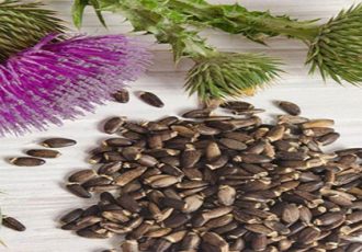 خارمریم با این ترکیبات برای درمان بیماری کبد خوب است