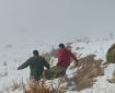 علوفه در پناهگاه حیات وحش خوش ییلاق توزیع شد