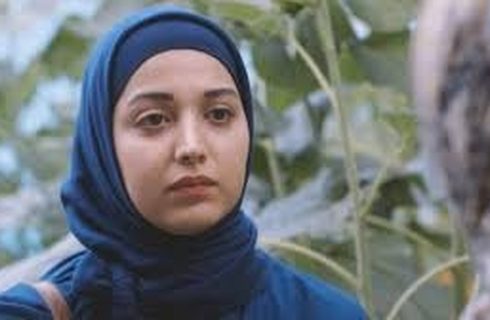 ماجرای جنجالی برنامه علی ضیا / روشنک گرامی عذرخواهی کرد