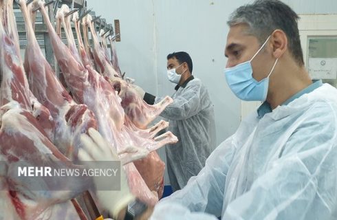 واکنش دامپزشکی گناوه به تعطیلی کشتارگاه سنتی دام