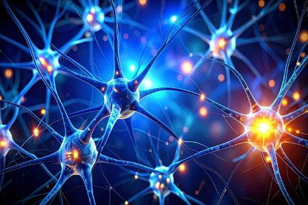 مغز،اخبار پزشکی،خبرهای پزشکی مغز،اخبار پزشکی،خبرهای پزشکی