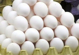 ۴ تن تخم مرغ فاقدمجوز در تیل آباد توقیف شد ۴ تن تخم مرغ فاقدمجوز در تیل آباد توقیف شد