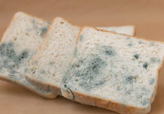 چگونه از بیات شدن و کپک زدن نان تست جلوگیری کنیم؟