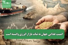 امنیت غذایی جهان به ثبات بازار انرژی وابسته است
