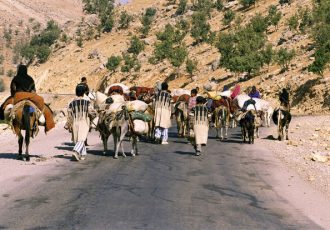 تاکنون حدود ۳۰ درصد از عشایر به نزدیکی مرزهای استان اصفهان رسیده‌اند