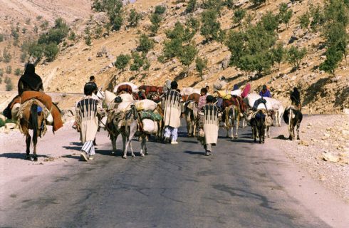 تاکنون حدود ۳۰ درصد از عشایر به نزدیکی مرزهای استان اصفهان رسیده‌اند