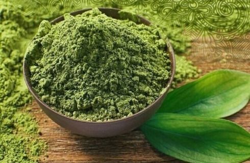 توسعه کشت گیاهان دارویی در دیمزارهای کجور