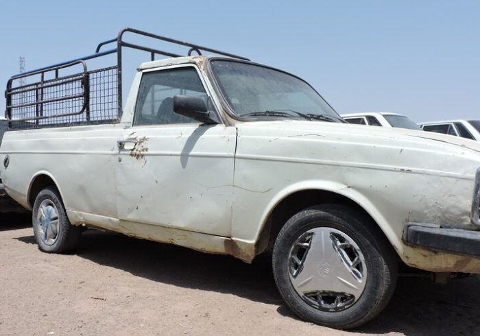 توقیف ۲ وانت مشکوک در میامی؛ ۴۳ رأس دام قاچاق کشف شد