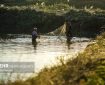 طی سرشماری سال گذشته شمار آبزیان خراسان شمالی۶۰۰۰ قطعه اعلام شد