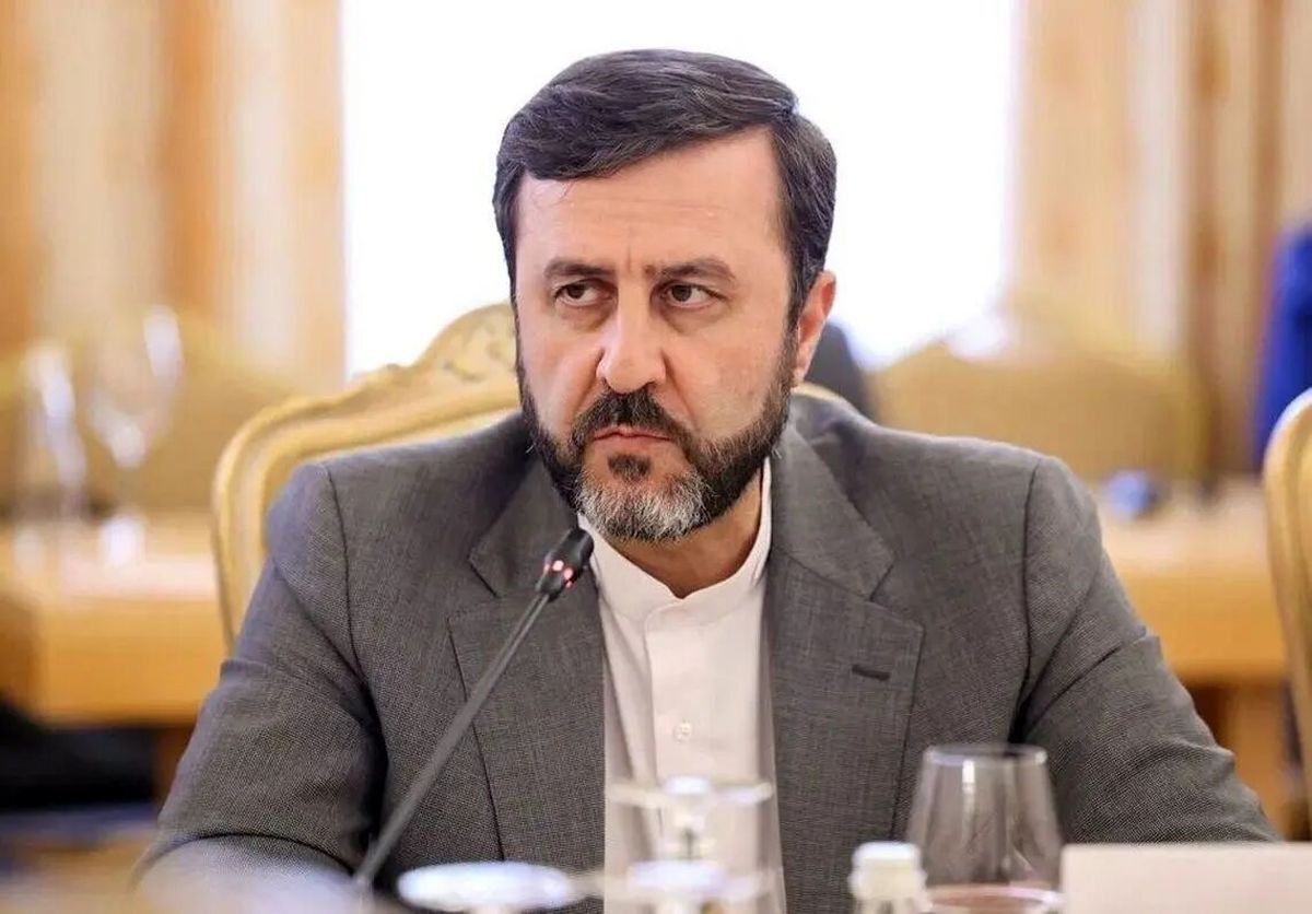 غریب آبادی در دیدار با نماینده صلیب سرخ: نمی‌توان برخی از دولت‌های همسایه را بی‌طرف محسوب کرد