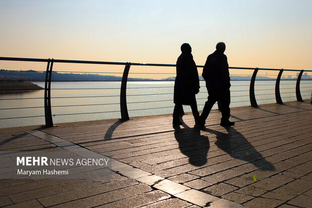 ماجرای حشرات ریز دریاچه شهدای خلیج فارس چیست؟