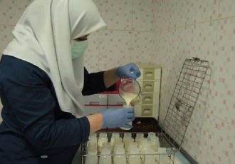 ۲۱۶ مادر داوطلب شیر اهدا کردند