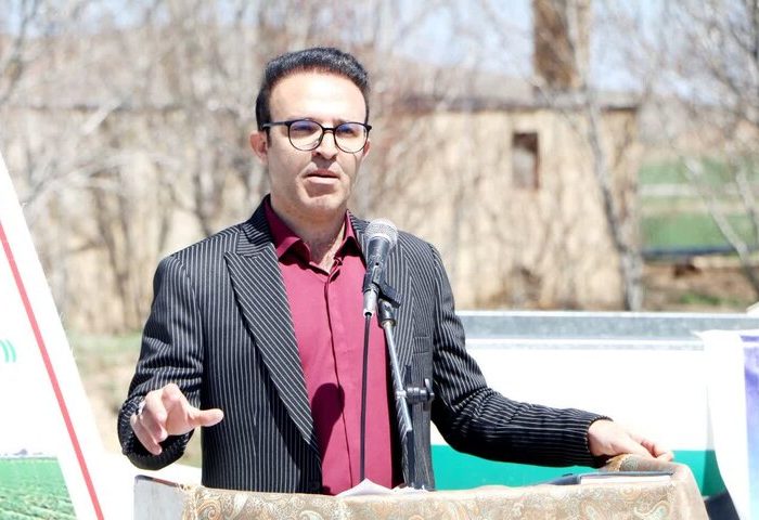 ۷۰۰ هکتار گندم و ۲ هزار هکتار لوبیا با روش نوین در ازنا کشت می‌شود