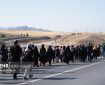 آغاز درختکاری در محور زائران پیاده مشهد