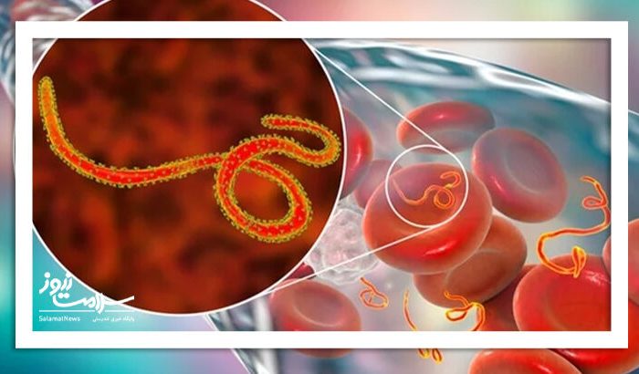 ابولا و هانتاویروس؛ جهان برای همه‌گیری بعدی آماده است؟