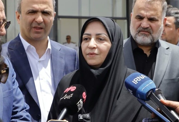 انصاری: پروژه‌های زیست محیطی دولت چهاردهم با وجود جنگ متوقف نشد