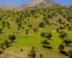 برگزاری نخستین رویداد«گذر از مرزها»با حضور فعالان گردشگری عراق درایلام