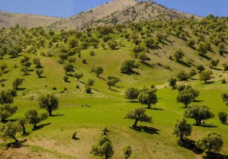 برگزاری نخستین رویداد«گذر از مرزها»با حضور فعالان گردشگری عراق درایلام