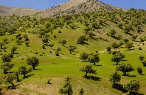 برگزاری نخستین رویداد«گذر از مرزها»با حضور فعالان گردشگری عراق درایلام